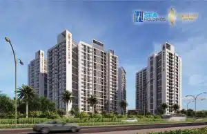 giới thiệu searealholding