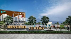 tin tức searealholding