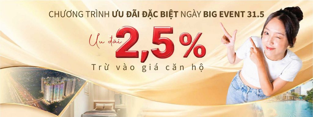 chính sách dự án eleva